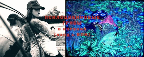 марки lsd Алзамай