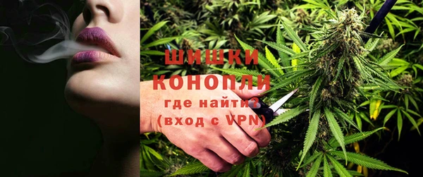 дурь Инсар