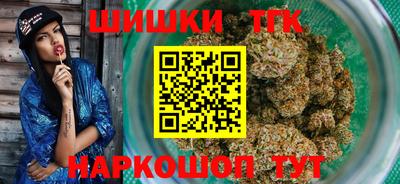 индика Обь