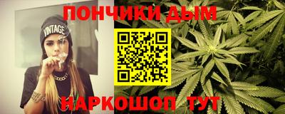 индика Обь