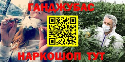 индика Обь