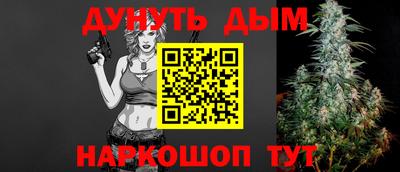 индика Обь