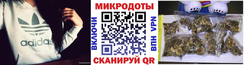 blacksprut   Тихвин  Галлюциногенные грибы прущие грибы 