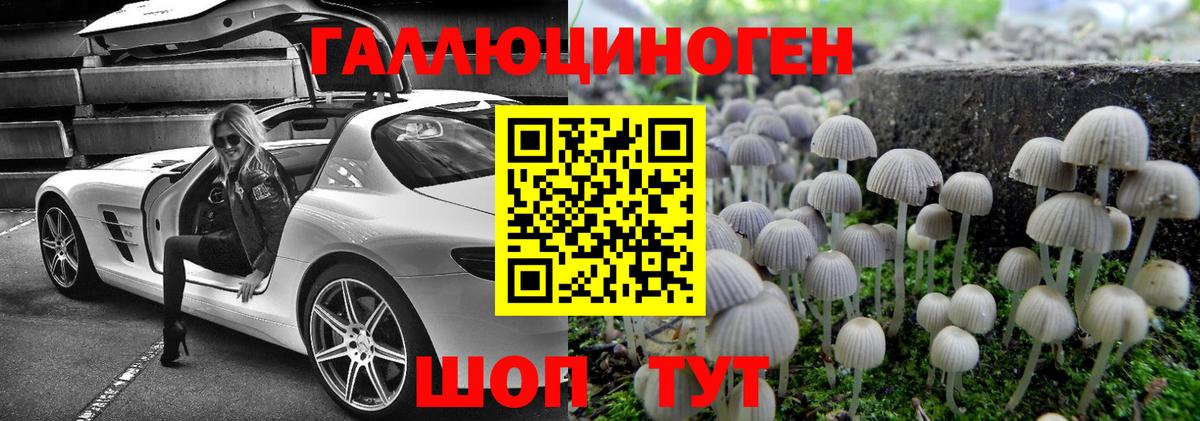 Галлюциногенные грибы GOLDEN TEACHER Тихвин